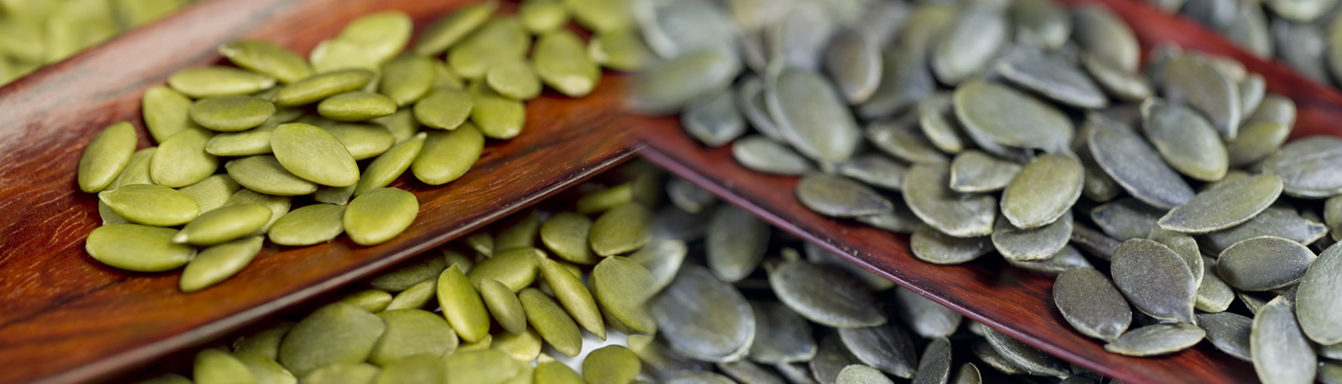 新疆晨騏農(nóng)業(yè)發(fā)展有限公司